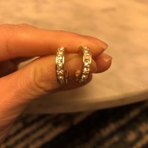 NWOT Talbots Earrings
